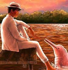 Lee más sobre el artículo O Boto cor de rosa